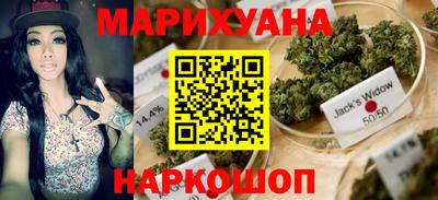 мдпв Бердск