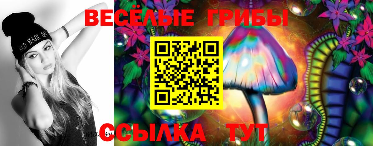 как найти наркотики  Псилоцибиновые грибы Cubensis  Галлюциногенные грибы Cubensis  Вход с VPN  Бор 